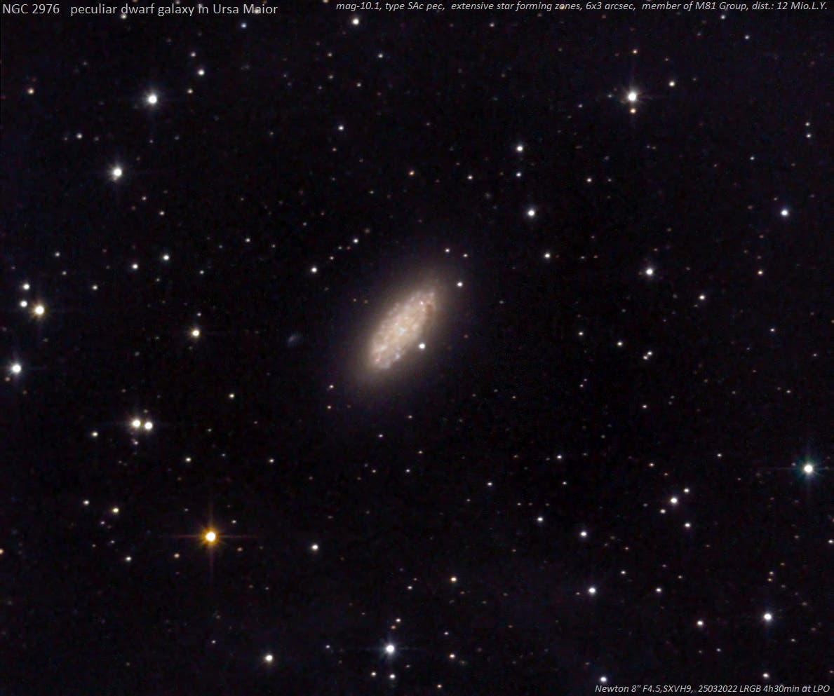 NGC 2976 (2) Spektrum der Wissenschaft